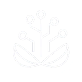Logo Moreno Sardella